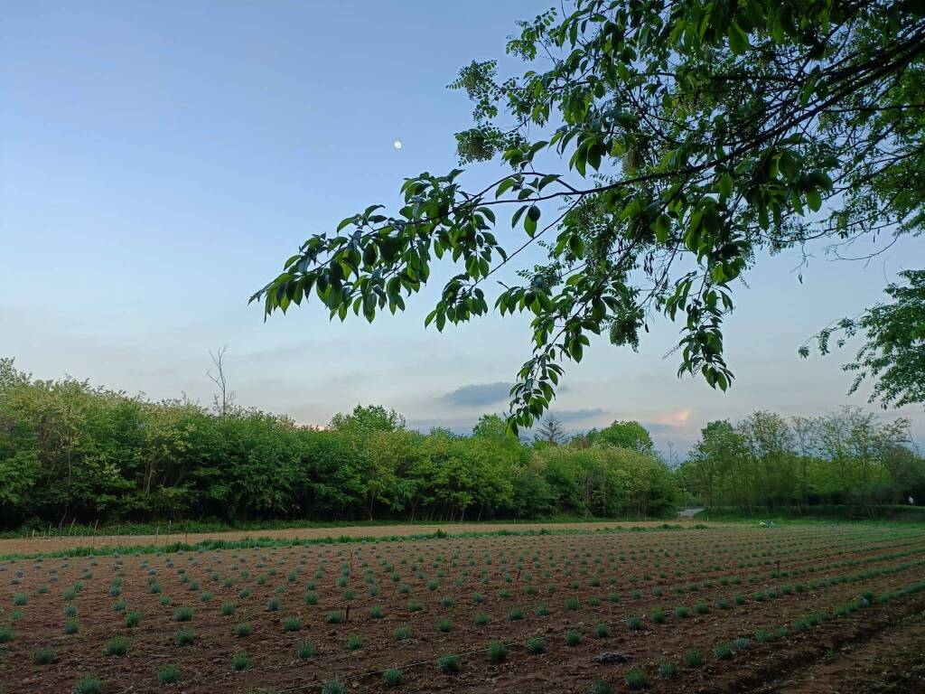 Agrilab