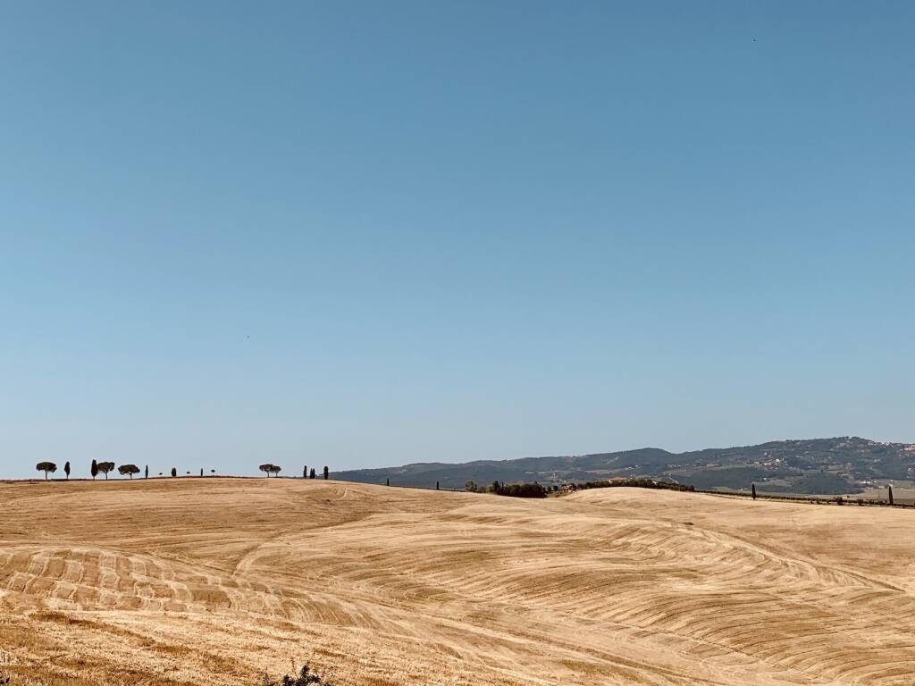 Alessandro e Lorenzo, padre figlio in bici per 1000 chilometri sulla via Francigena