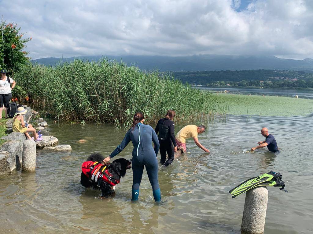 Attività per cani al lido di Bodio 