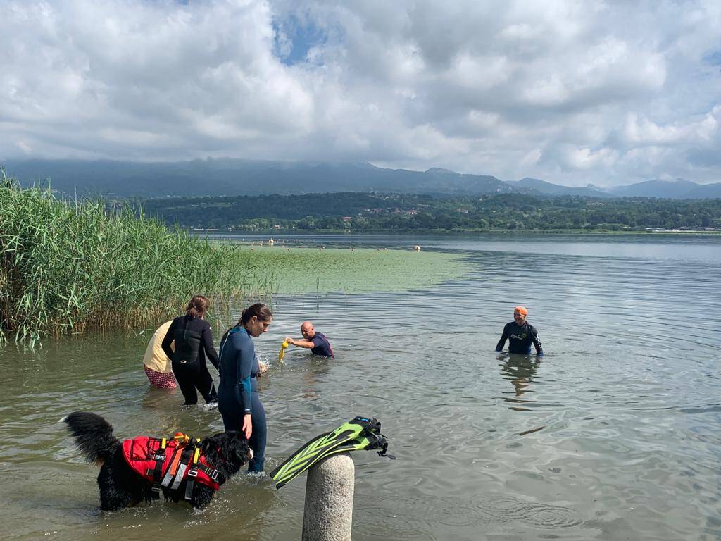 Attività per cani al lido di Bodio 