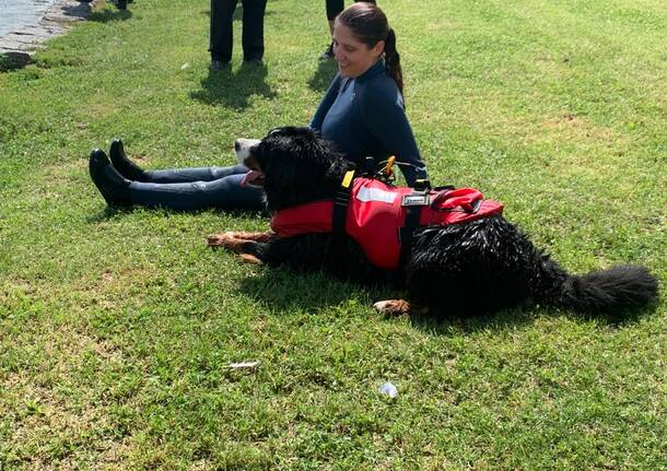 Attività per cani al lido di Bodio