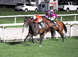 Criterium Varesino e premio \"Giovanni Borghi\", il sabato sera all\'Ippodromo di Varese
