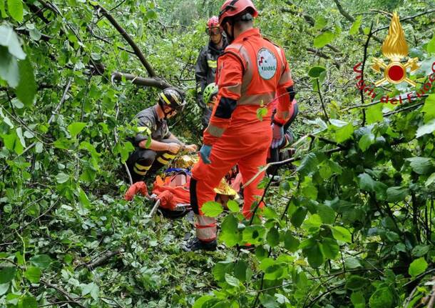 colverde vigili del fuoco maltempo