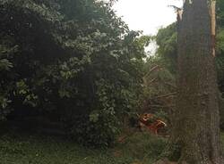 danni da maltempo a Samarate 