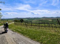 Enjoy Monferrato