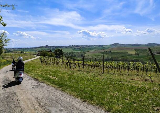 Enjoy Monferrato