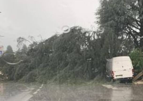 Forte temporale e grandine, mattina di maltempo sul Varesotto – Le foto dei lettori