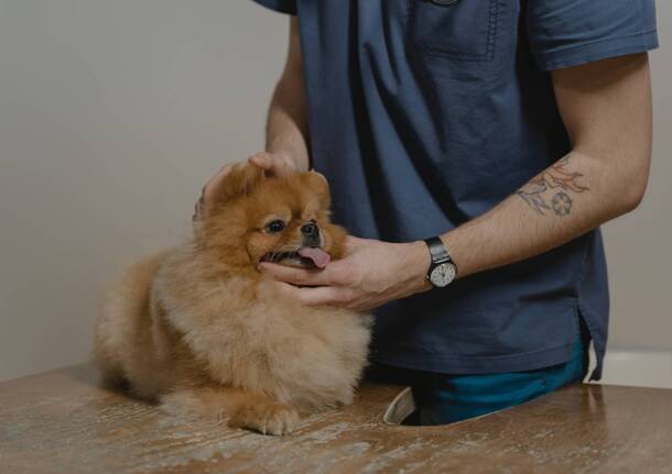 Generico 03 Jul 2023