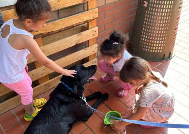I bimbi del Nido Pimpa di Nerviano a lezione dai soccorritori cinofili