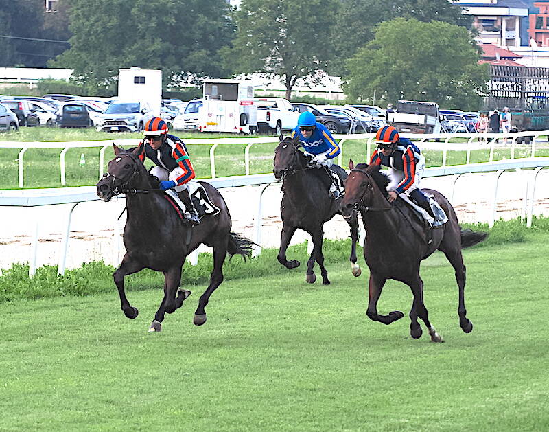 ippodromo Bettole Varese