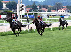 ippodromo Bettole Varese