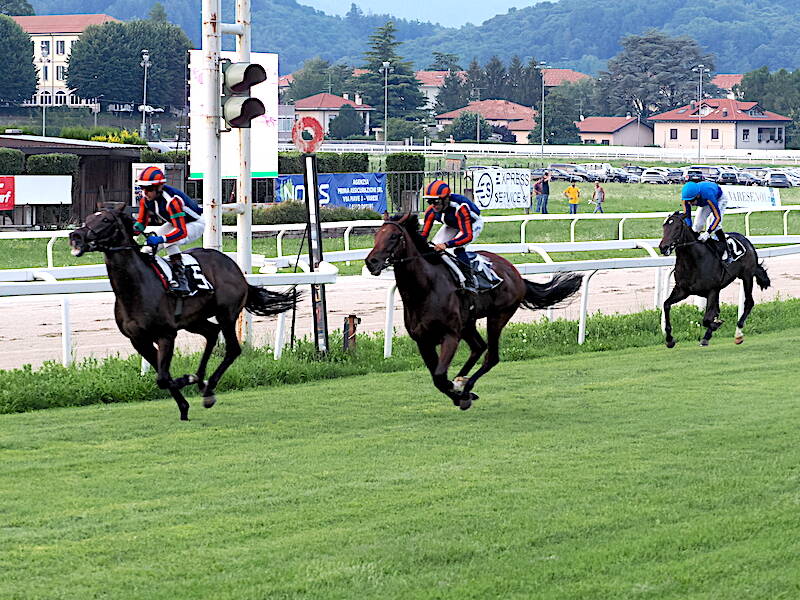 ippodromo Bettole Varese
