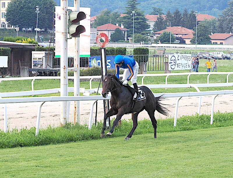 ippodromo Bettole Varese