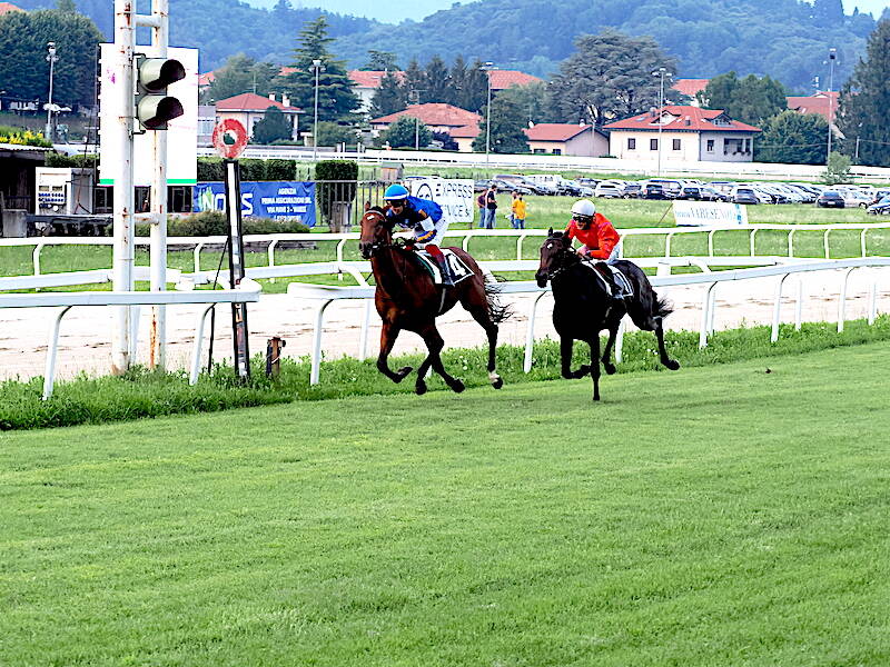 ippodromo Bettole Varese