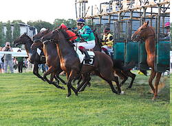 ippodromo varese