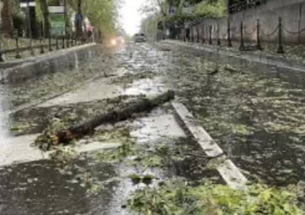 La grandinata su Saronno, le foto di Ezio Cairoli 