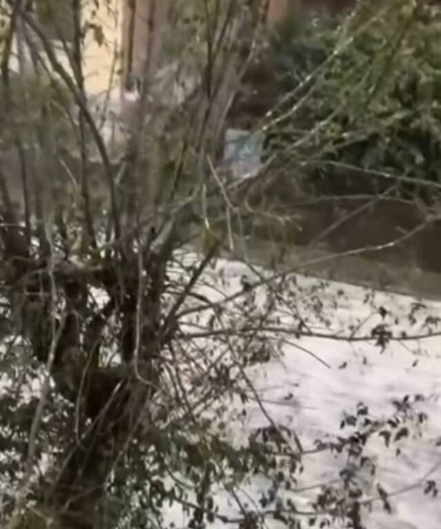 La grandinata su Saronno, le foto di Ezio Cairoli 