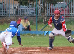 legnano baseball