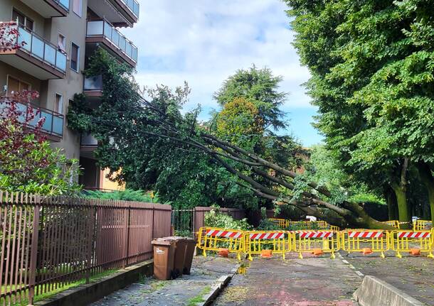 Legnano il giorno dopo il doppio nubifragio