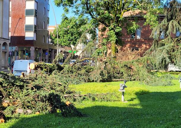 Legnano il giorno dopo il doppio nubifragio