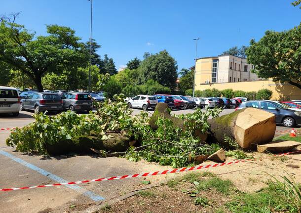 Legnano il giorno dopo il doppio nubifragio