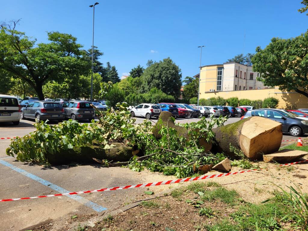 Legnano il giorno dopo il doppio nubifragio