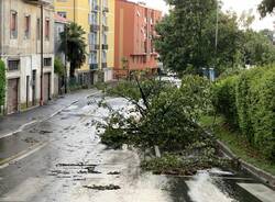 Maltempo a tradate luglio 2023