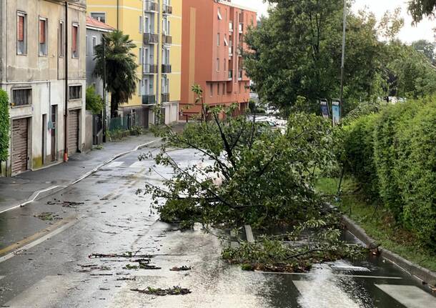 Maltempo a tradate luglio 2023