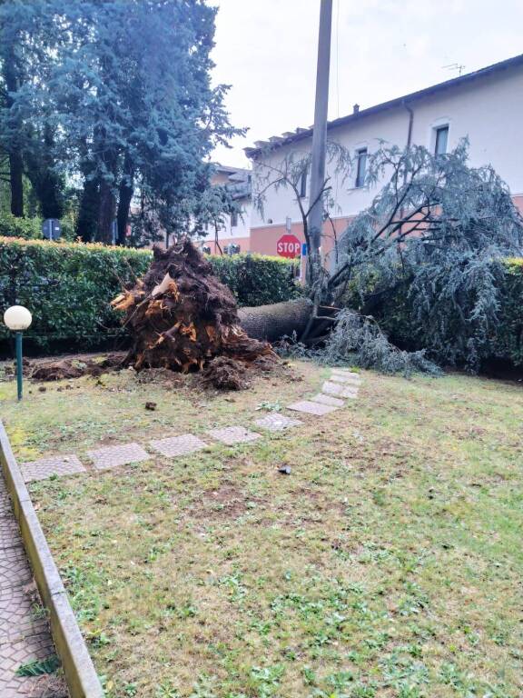 Maltempo a tradate luglio 2023