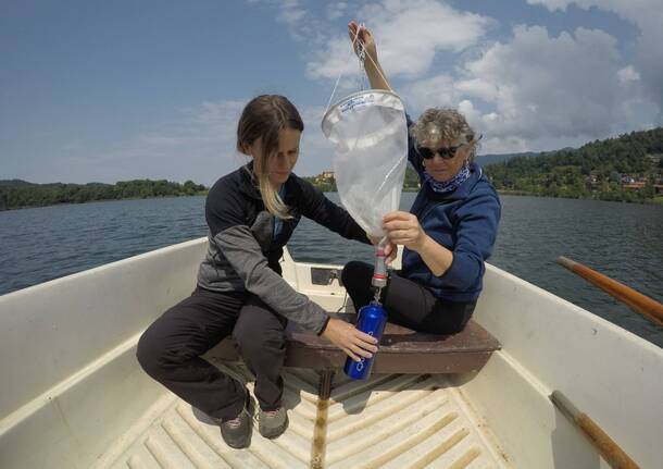Microplastiche nel lago