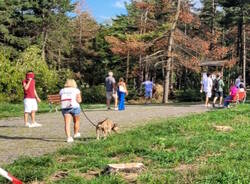 Parco del castello chiuso a Legnano