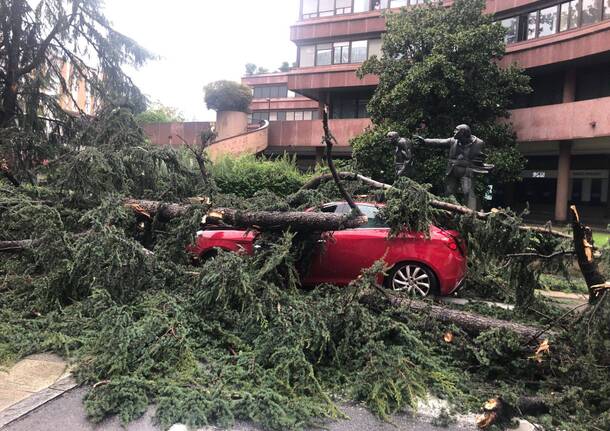 Torna il maltempo sul Legnanese