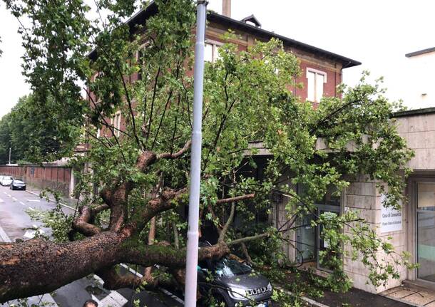 Torna il maltempo sul Legnanese