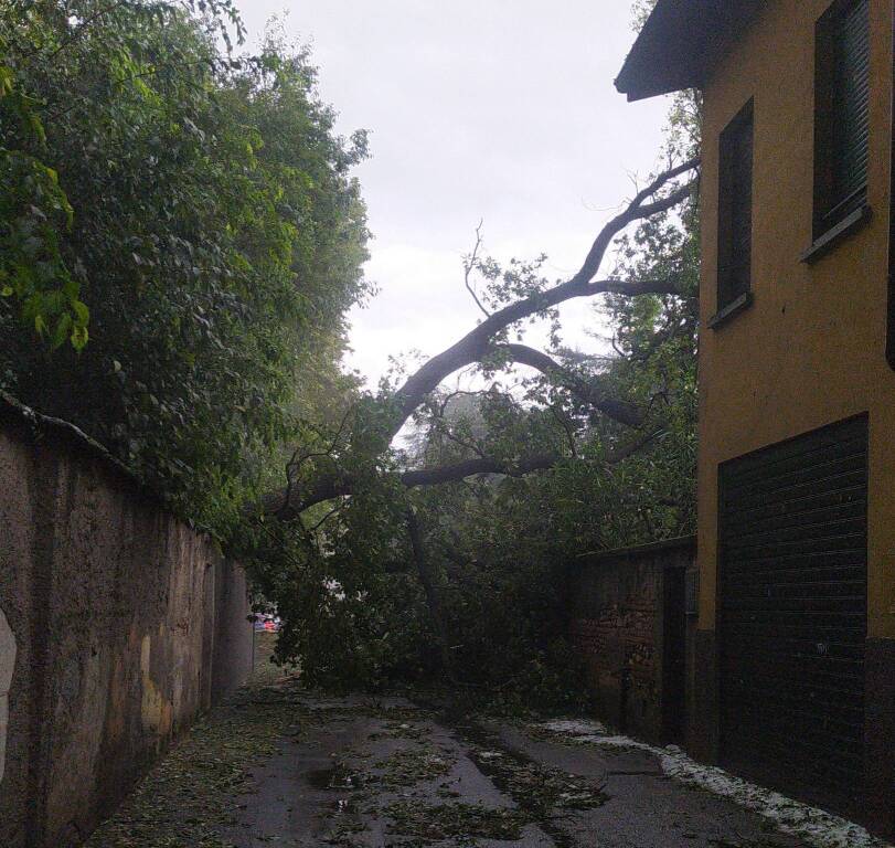 Maltempo nel Legnanese