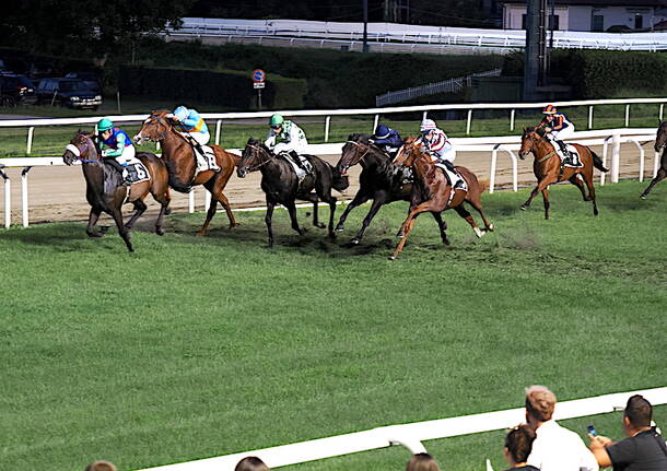 Il Premio “La Novella” alle Bettole di Varese