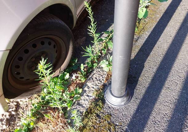 Vegetazione sui marciapiedi a Cardano al Campo