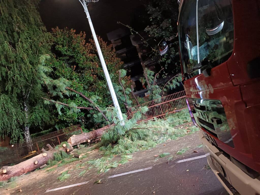 Albero caduto a Castellanza