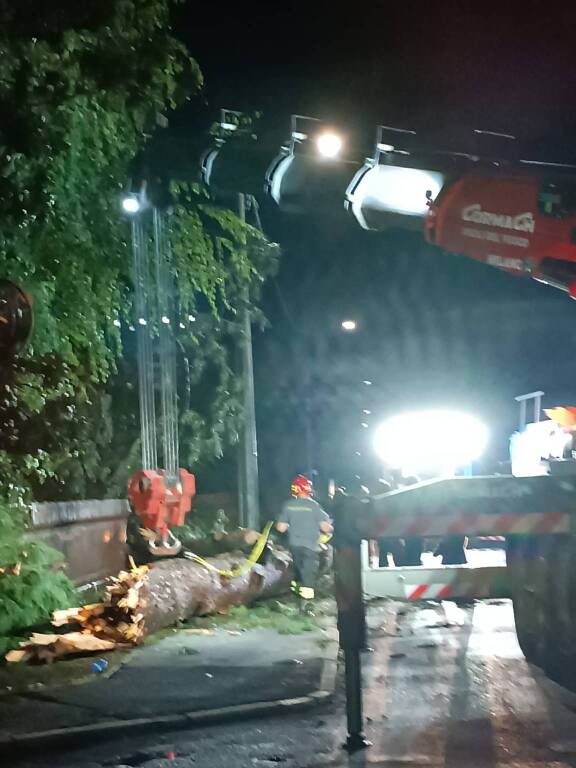 Albero caduto a Castellanza