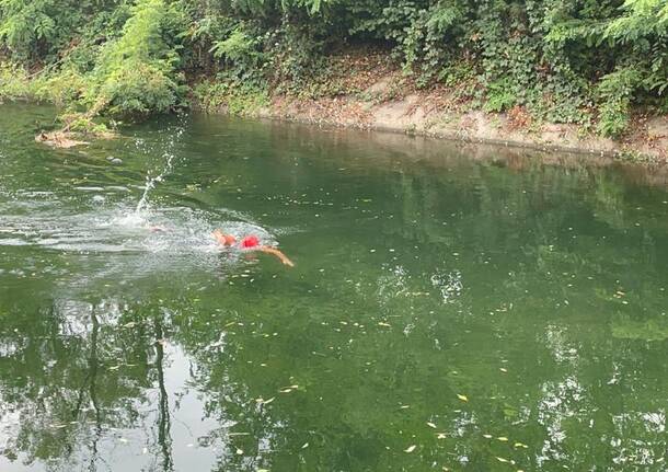Ventotto Caimani nelle acque del Villoresi a Nerviano