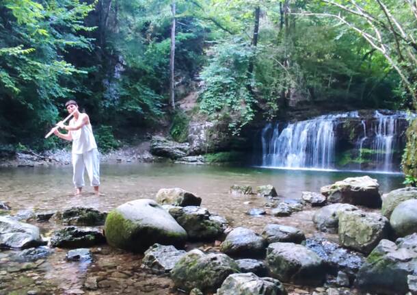 Canti di bosco - Acqua