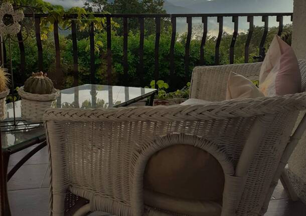 Canti di bosco - Acqua