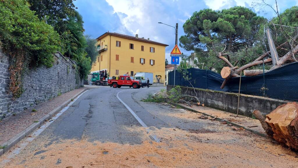 Cade albero a Luino nella notte