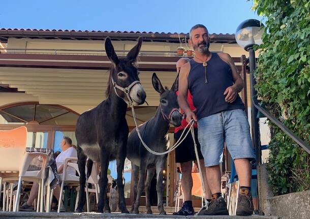 Sofia e Gala, le asine \"star\" della Valcuvia che si fanno cavalcare e coccolare dai tursti