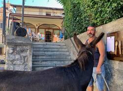 Sofia e Gala, le asine \"star\" della Valcuvia che si fanno cavalcare e coccolare dai tursti
