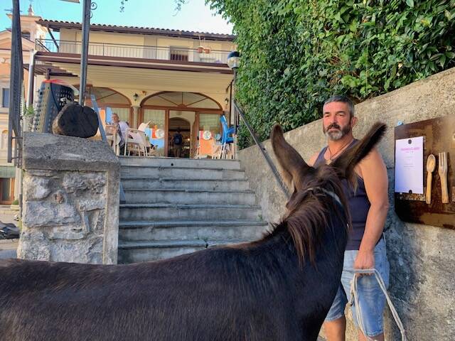 Sofia e Gala, le asine \"star\" della Valcuvia che si fanno cavalcare e coccolare dai tursti