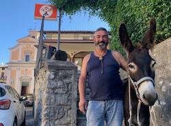 Sofia e Gala, le asine \"star\" della Valcuvia che si fanno cavalcare e coccolare dai tursti