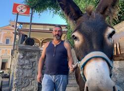 Sofia e Gala, le asine \"star\" della Valcuvia che si fanno cavalcare e coccolare dai tursti