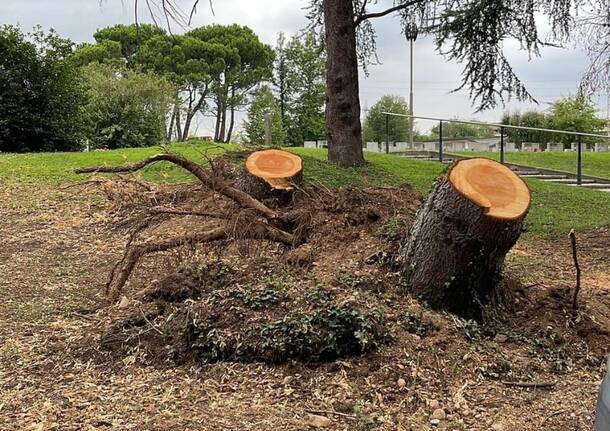 Cimitero parco Legnano: i danni del maltempo