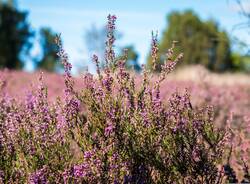 Generico 07 Aug 2023