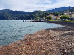 lago maggiore legna